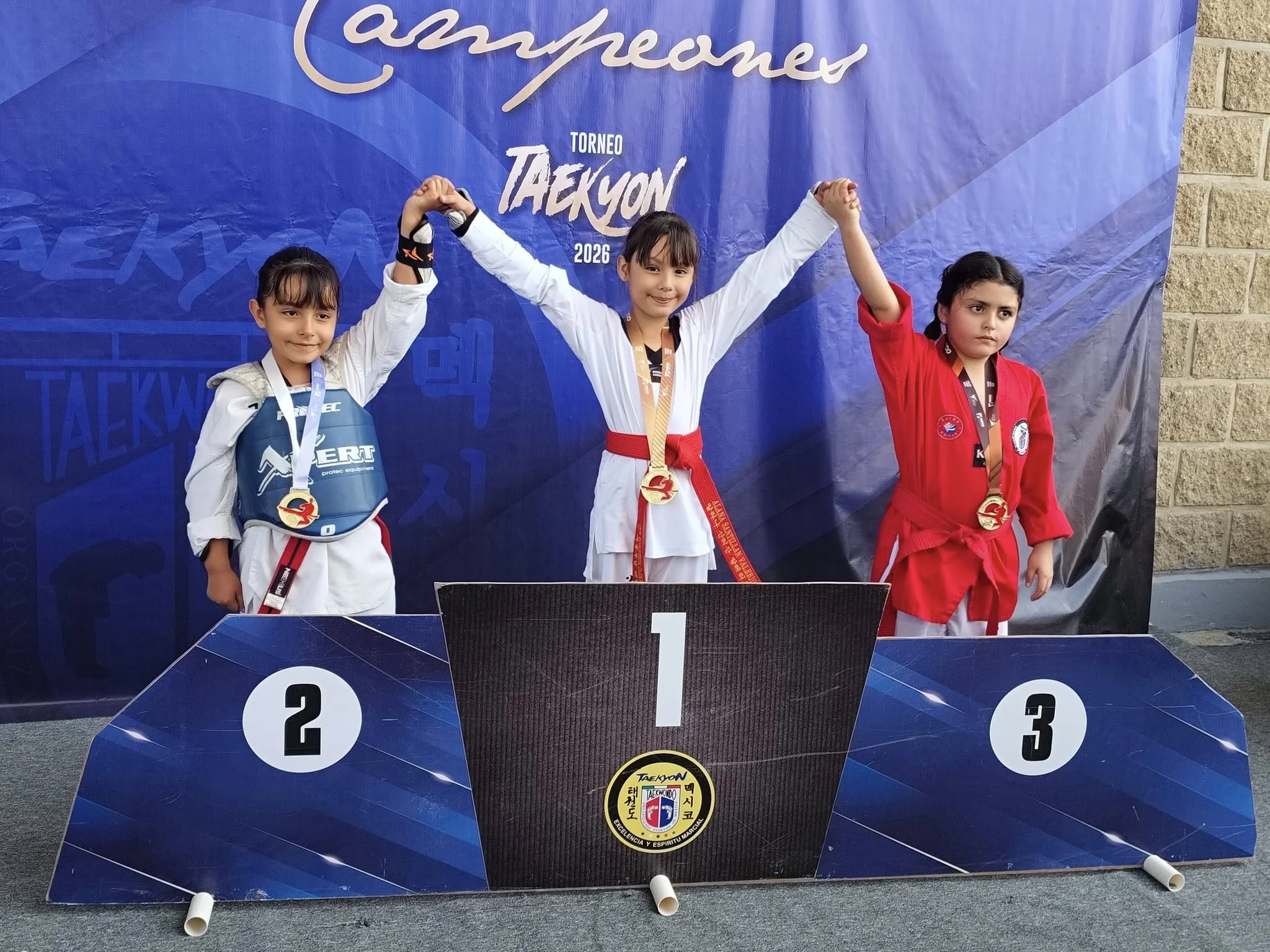 Atleta New Evolution Taekwondo